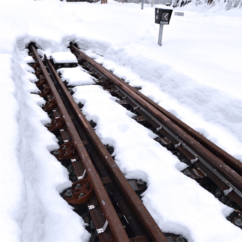 Riscaldatore piatto a isolamento minerale per la protezione antigelo delle forche ferroviarie